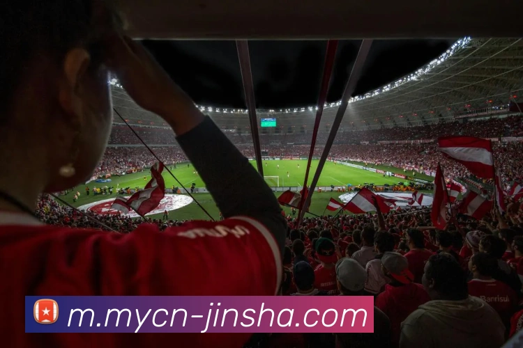 多媒体互动体验